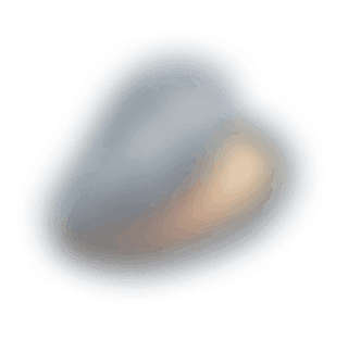 Oyster